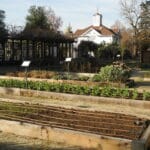 luther_burbank_home_and_gardens