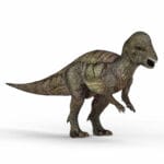 pachysaurus__