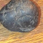 petrified_dinosaur_poop