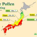 pollen_count_boise
