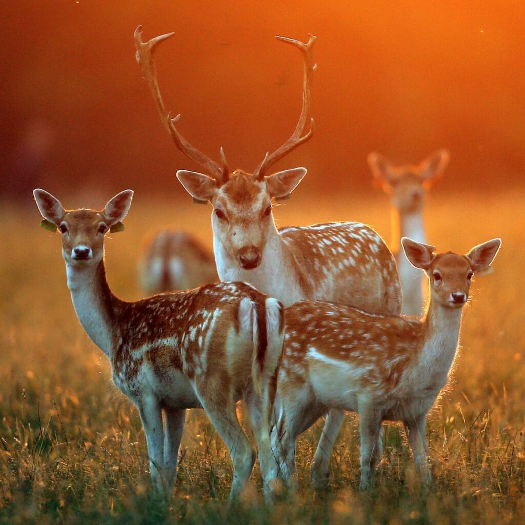 The Ultimate Guide to McAllen, Texas Zip Codes Find Your Perfect