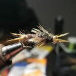 stonefly_nymph