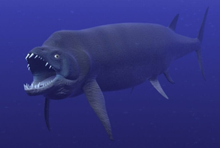 Xiphactinus: Unraveling the Mysteries of the Cretaceous's Giant ...