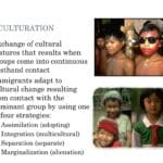 acculturation_ap_human_geography