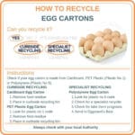 are_egg_cartons_recyclable__