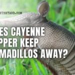 armadillo_repellent