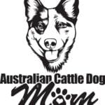 australian_cattle_dog_life_expectancy