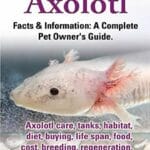 axolotl_life_span