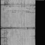 bassett_livestock_auction