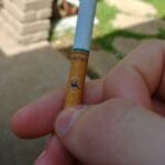camel_click_menthol