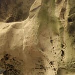 el_corte_de_madera_creek