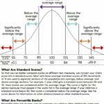 grading_bell_curve_calculator