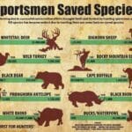 how_do_game_conservation_laws_affect_hunters