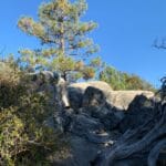 idyllwild_nature_center__
