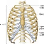 left_rib_pain_icd_10