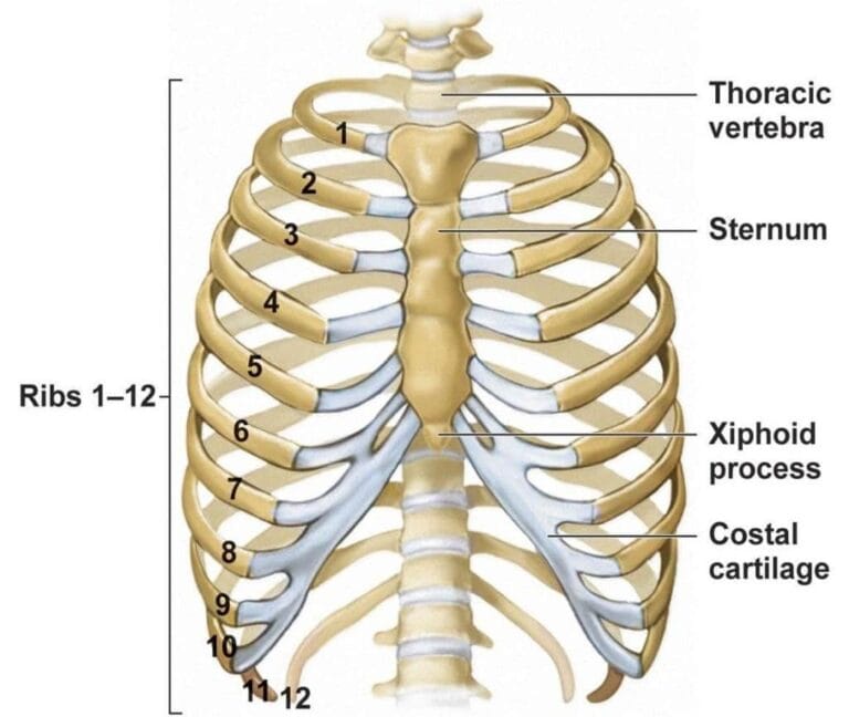 left anterior rib pain icd 10