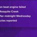 mistakes_of_chincoteague_book