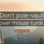 mouse_turds_pictures