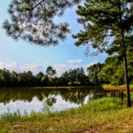 Stewart Rd, Ochlocknee, Georgia, United States