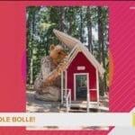 ole_bolle_troll