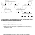 pedigree_worksheet