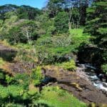 peepee_falls_hilo_hawaii