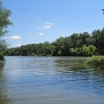 poinsett_state_park_south_carolina