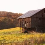 prairie_peddler
