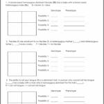 punnett_square_worksheet