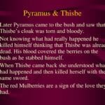 pyramus_beloved
