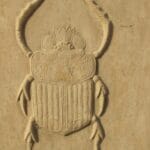 scarab_beetle_meaning