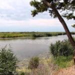 sebewaing_mi_county