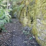 sequiota_park
