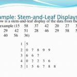 stem_and_leaf_display_calculator