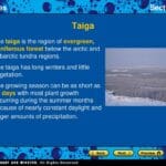 subarctic_evergreen_forest