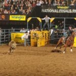 trevor_brazile