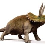 triceratops_diet