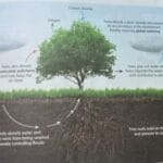 venn_diagram_trees_and_body_parts
