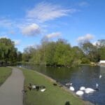 verulamium_park_st_albans