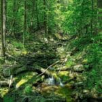 wawarsing