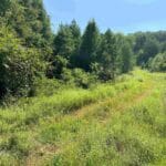 wellford_sc_county