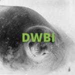 what_does_dwbi_mean