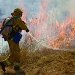 Wildland Firefighter fighting grass fire