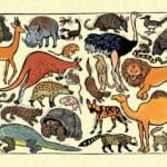 zoo_ology