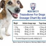 alizin_for_dogs