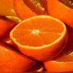 can_bearded_dragons_eat_oranges