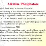 canine_alk_phosphatase_high