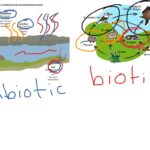 canister_abiotic_factor