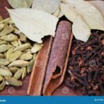 cardamom_and_cloves_ottawa