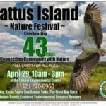 cattus_island